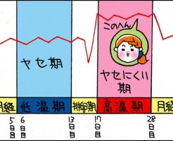 生理中　ダイエット　痩せ期